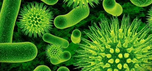 Бактериальная инфекция: симптомы, причины развития и методы диагностики